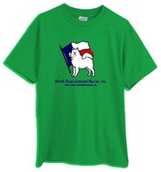 Logo T-Shirt: Kelly Green