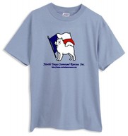 Logo T-Shirt: Blue